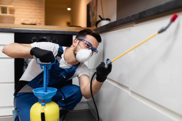 Best Termite Control Services  in K I Sawyer, MI