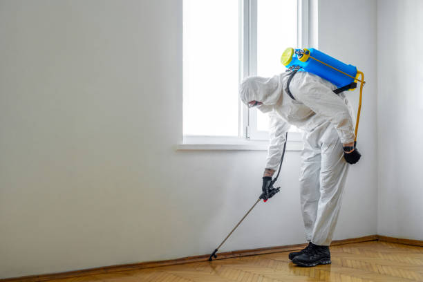Best Pest Prevention Services  in K I Sawyer, MI