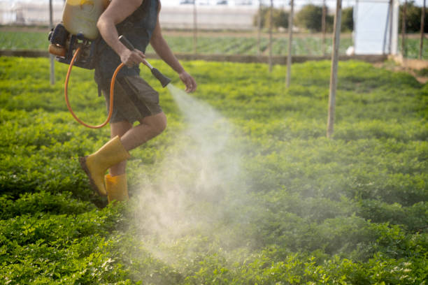 Best Affordable Pest Control Services  in K I Sawyer, MI