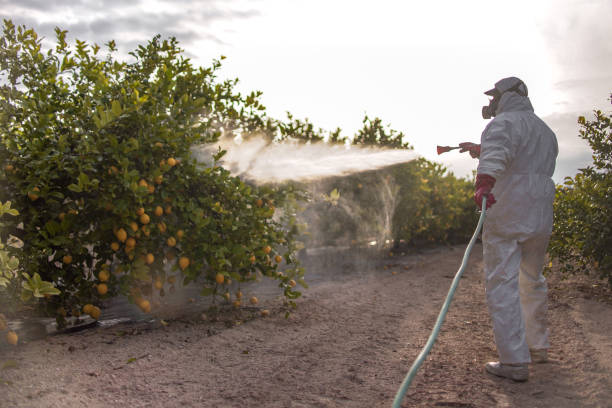 Best Residential Pest Control  in K I Sawyer, MI