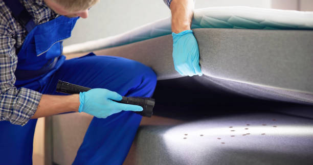 Best Mosquito Control Services  in K I Sawyer, MI