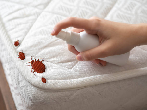 Trusted K I Sawyer, MI Pest Control Experts