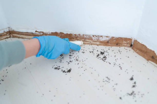 Best Best Pest Control Companies  in K I Sawyer, MI