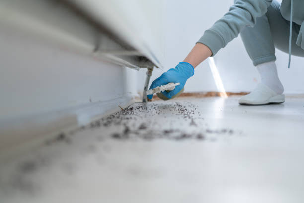 Wasp Removal Services in K I Sawyer, MI